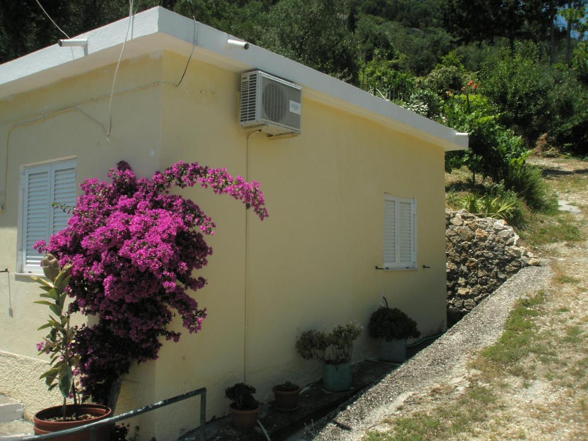 Faliraki Apartments Беницес Екстериор снимка